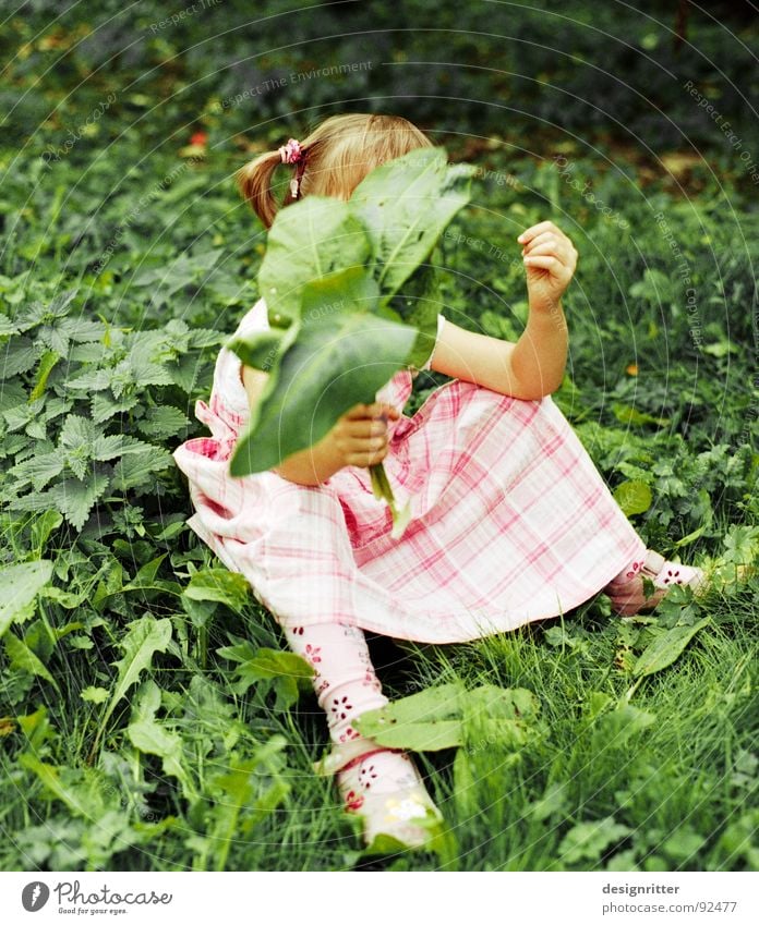 contrasts Child Girl Dress Pink Checkered Grass Leaf Stinging nettle Green Playing Contrast Sit Clothing leaves play Weed Medicinal plant