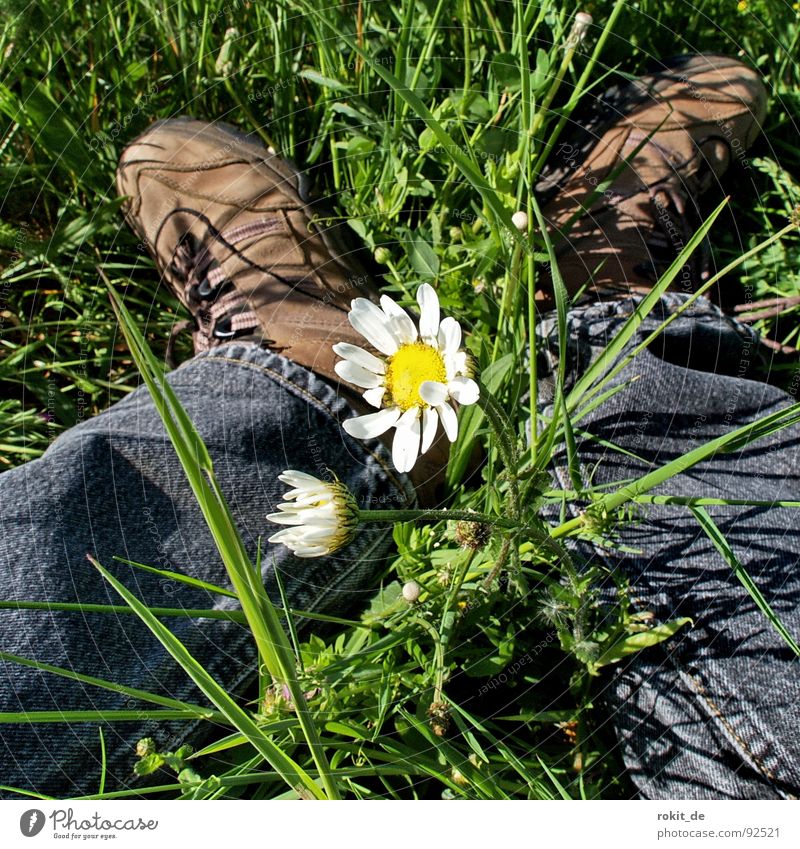 streaks Rest Break Go crazy Relaxation Meadow Grass Green Flower Daisy Mediocre Footwear Pants Hiking boots White Yellow Black Spring Fear Panic Protection