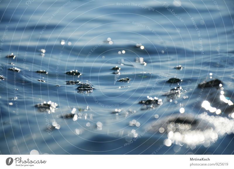 Water. Nature Drops of water Beautiful weather Waves Coast Lakeside Ocean Pond Brook River Movement Stagnating Surface of water Blue Bubble Cold Close-up Detail