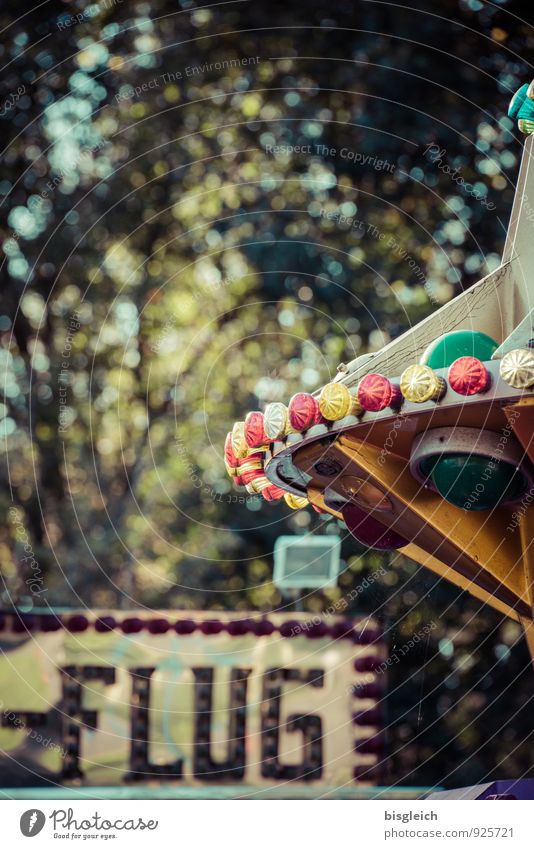 merry-go-round Fairs & Carnivals Carousel Playing Green Leisure and hobbies Joy Colour photo Exterior shot Deserted Copy Space top Day Shallow depth of field