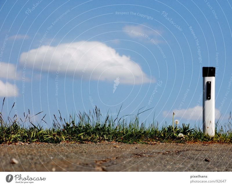 Attention! Biting curve! Sky Clouds Summer Traffic infrastructure Road traffic Street Plastic Sign Blue Brown Green White Roadside Asphalt Pole Colour photo