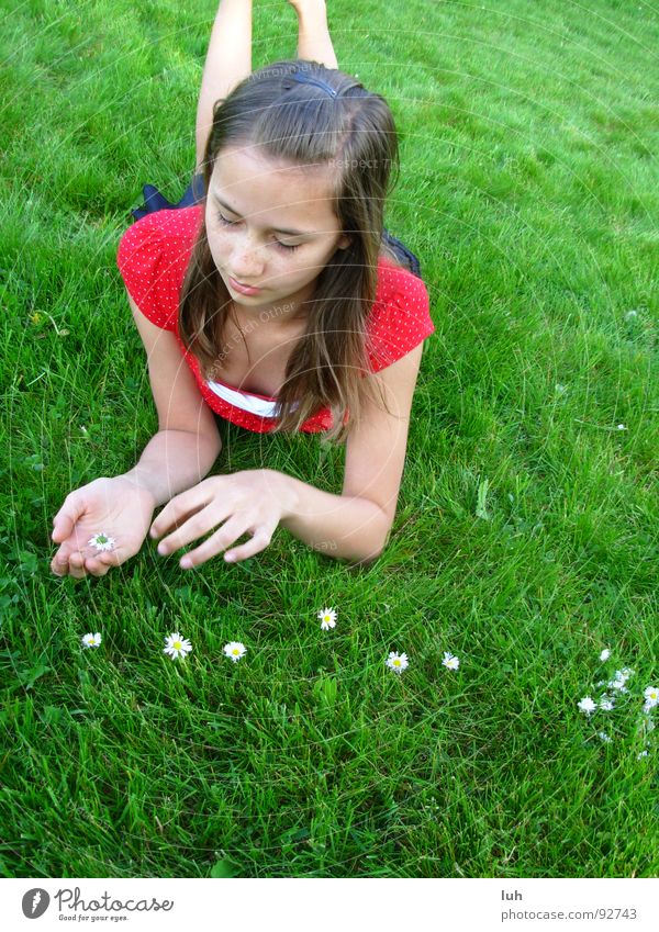 Count the signs of summer. Green Meadow Grass Daisy Flower Lie Relaxation Summer Spring Lawn Numbers Nature Girl 13 - 18 years Long-haired Dark-haired Brunette