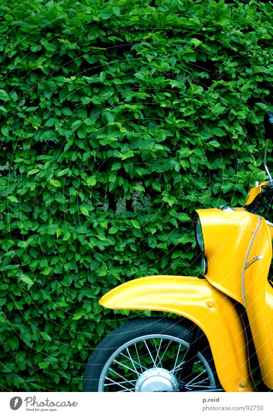 I can't think of anything. Swallow Scooter Yellow Motorcycle Hedge Bushes Vintage car Detail Section of image Partially visible Retro Old Old fashioned Iconic