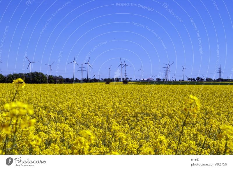 rap in may Canola field Summer Exterior shot Wind energy plant Paderborn district Nature Blue sky Joy Landscape