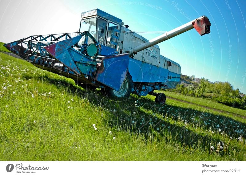 drescher02 Ear of corn Combine Machinery Country life Field Wheat Farmer Agriculture Village East Saxony-Anhalt Work and employment Flour Green Plant Dandelion