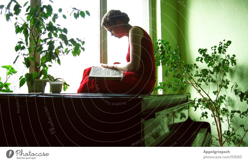 winged Piano Book Green Black Groomed Calm Doze Window Wallpaper Flowerpot Red Woman Dress Reading Search Longing Art Arts and crafts  Concentrate Culture Wing