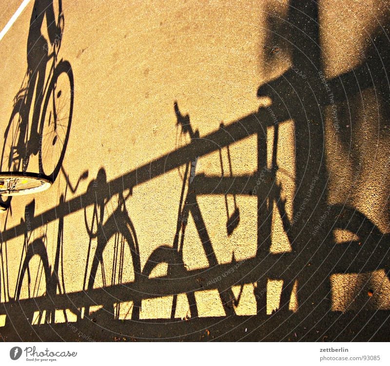 shadow Shadowy existence Shadow play Bicycle Ladies' bicycle Kiddy bike Tour de France Asphalt Driving Cycling Traffic infrastructure Fitness Obscure