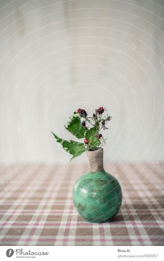 BromBeerStill Lifestyle Leaf Faded To dry up Thorny Green Blackberry leaf Vase Tablecloth Checkered Colour photo Interior shot Deserted Copy Space left