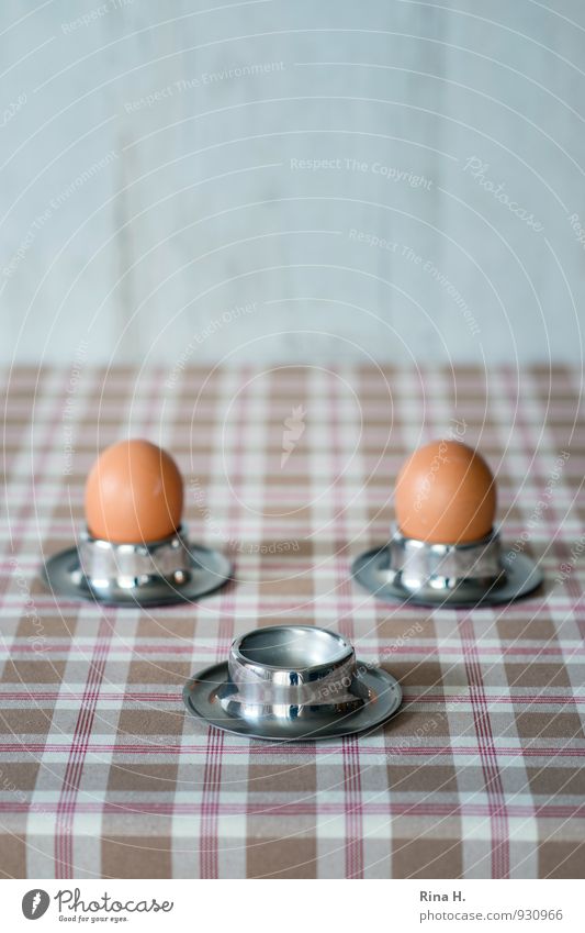 wings Egg Nutrition Breakfast Organic produce Vegetarian diet Bright Emotions Together Beginning End Life fledged Egg cup Colour photo Subdued colour