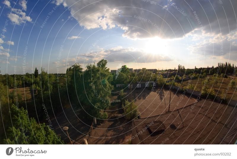 50/50 Fisheye Panorama (View) Germany Hot Dry White Air Sky Back-light Clouds Gray Tree Fallow land Forest Gloomy Nature May Green Brown Half Horizontal