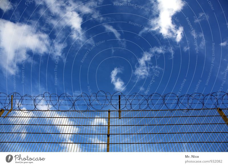 the sky knows no boundaries Environment Sky Clouds Climate Climate change Weather Beautiful weather Blue Border Fence Barbed wire Barrier Wire fence Freedom