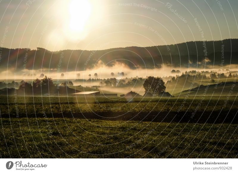 Fog Rolls 1 Environment Nature Landscape Plant Air Water Cloudless sky Autumn Weather Beautiful weather Tree Grass Bushes Field Forest Hill Building Farm Roof