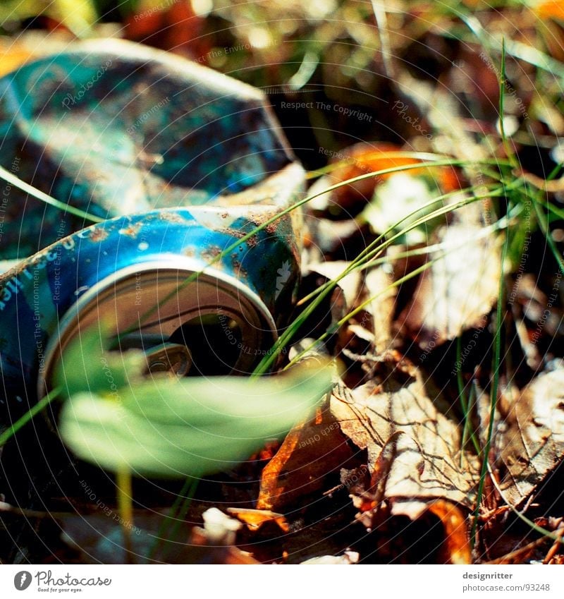 civilization Tin Coke can Beer can Trash Throw away Environment Environmental pollution Leaf Grass Cola Nature Wood flour tin plate jettisoned Blue beer