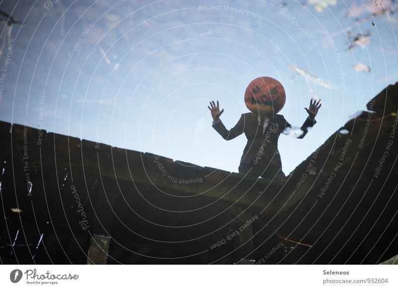 Halloween! Carnival Hallowe'en Human being Masculine 1 Water Sky Leaf Coast Bridge Suit Mask Dark Creepy Wet Fear pumpkin head Pumpkin Scarecrow Colour photo