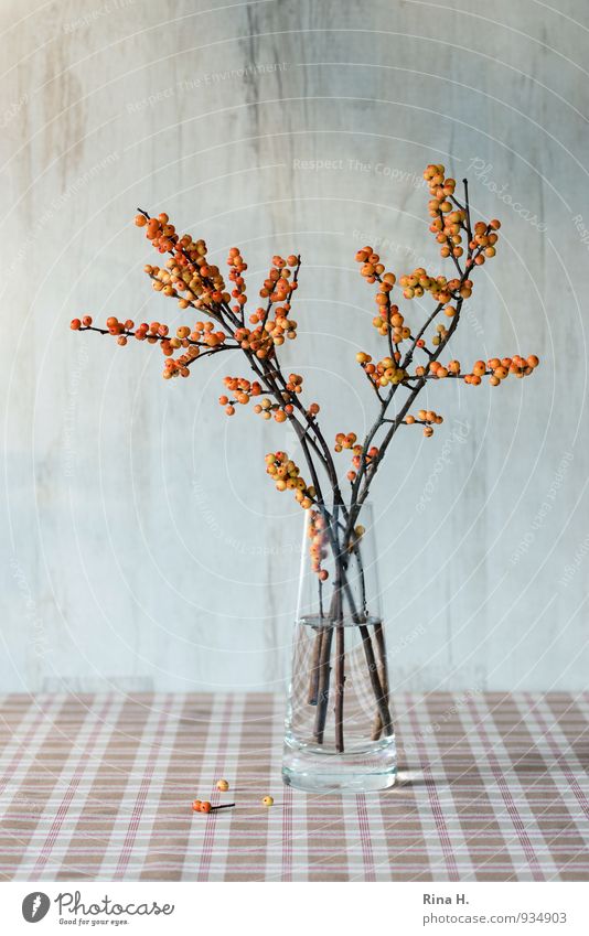 AutumnStill II Brown Orange Still Life Vase Ilex Berry seed head Tablecloth Colour photo Deserted Copy Space top Copy Space bottom Shallow depth of field