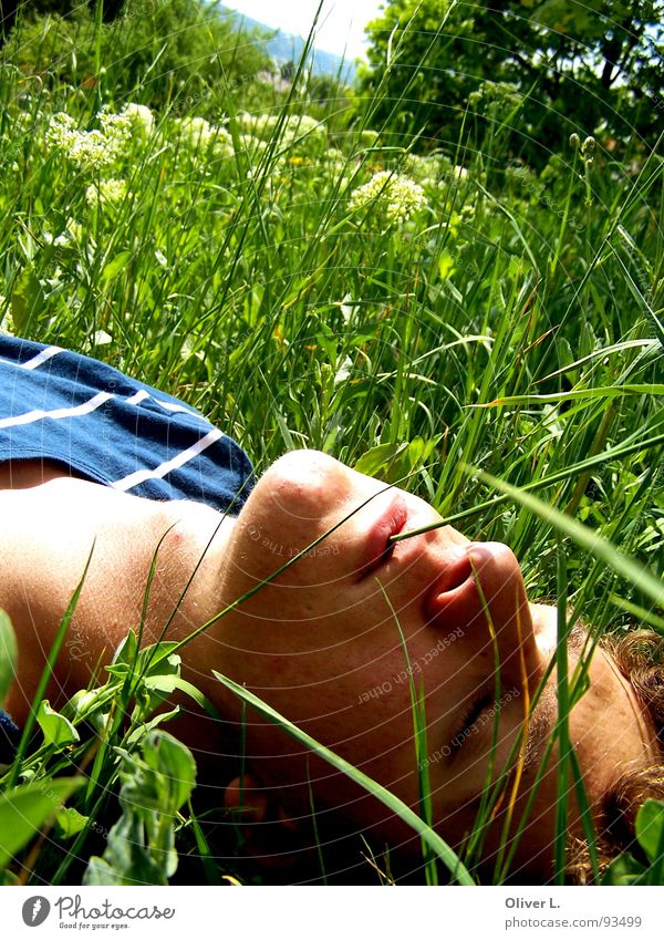 enjoy the sun... To enjoy Summer Grass Relaxation Calm Meadow Green schilln