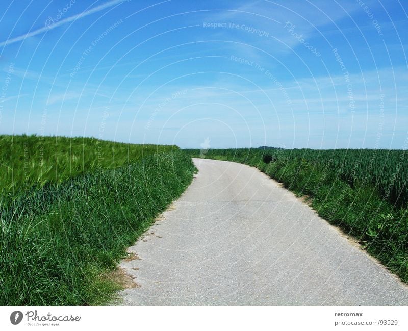 now go to the left Field Green Juicy Barley Asphalt Relaxation Wanderlust Exterior shot Spring Meadow Footpath Idyll Horizon Hill Wayside Turn off Left Calm