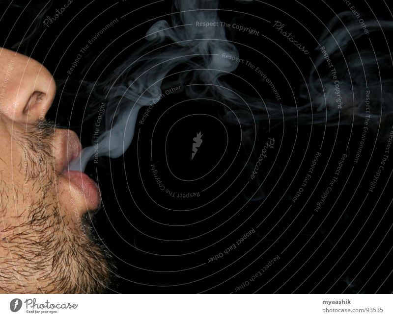smoke Wind Healthy tuxedo man face with smoke cigarette tobacco stop smoking smoke free