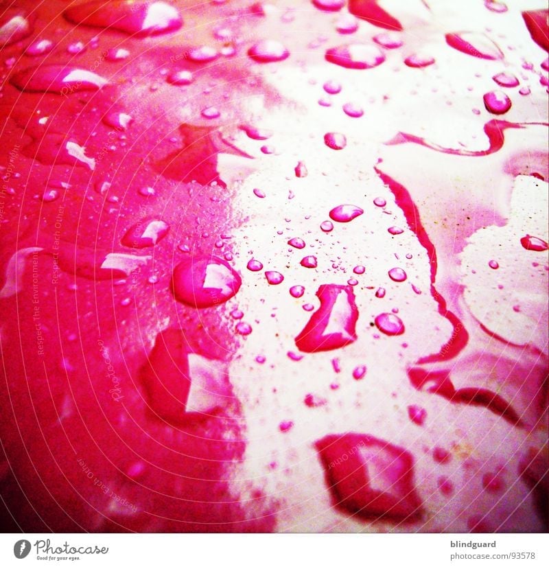 Wet Pink Close-up Glittering Damp Light Storm Dark Thunder and lightning Water Macro (Extreme close-up) Statue Lamp Drops of water slippery Plastic Tears Rain