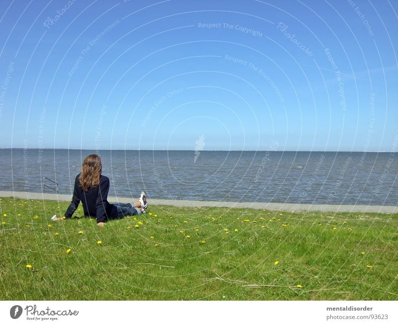 longing Ocean Relaxation Longing Grass Green Woman Search Find Horizon Far-off places Leisure and hobbies Emotions gazing Water Sand Lawn Blue Sit Looking