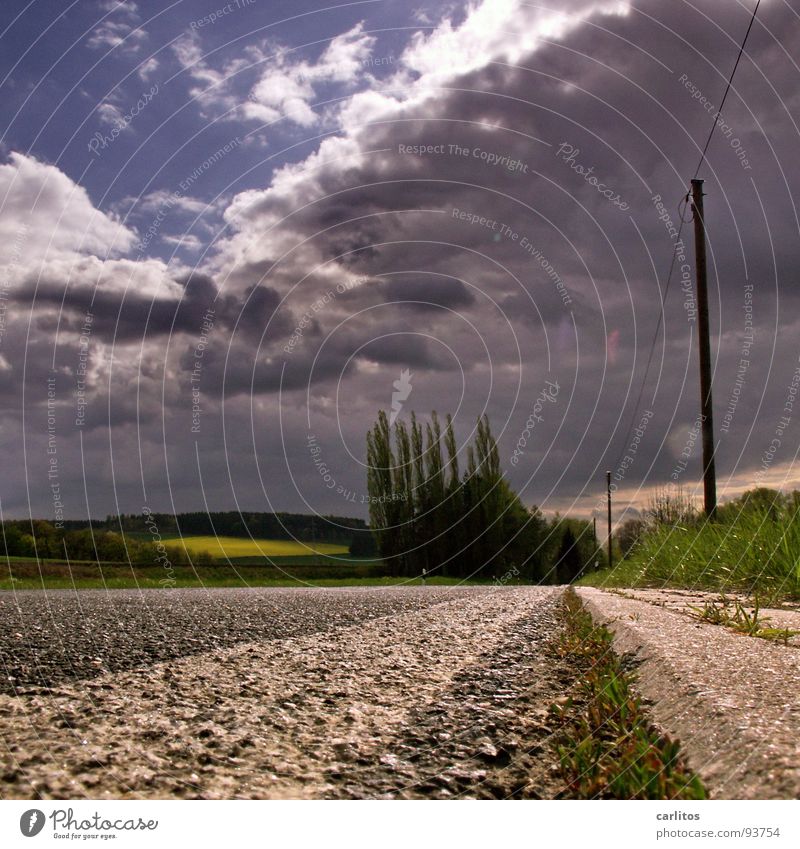 Holiday picture from everyday life Roadside Hitchhiker Ride Vanishing point Relaxation Frustration Midlife Crisis South Tuscany Emotions Leisure and hobbies