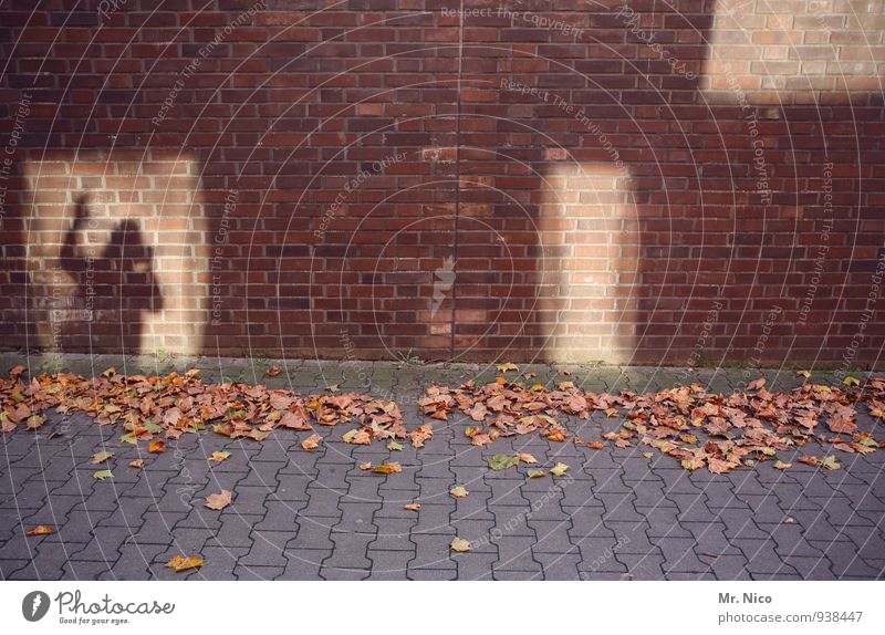 AST7 Pott | unfortunately totally obstructed Building Wall (barrier) Wall (building) Facade Lanes & trails Exceptional Shadow Shadow play Leaf Autumn Wave