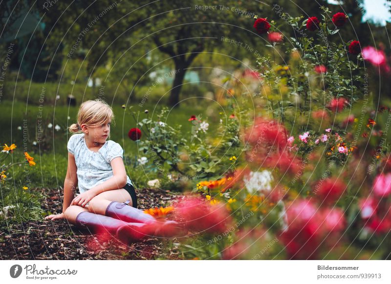 . Leisure and hobbies Summer Garden Human being Feminine Child Girl Infancy 1 8 - 13 years Nature Landscape Flower Grass Dahlia Meadow Blossoming Relaxation