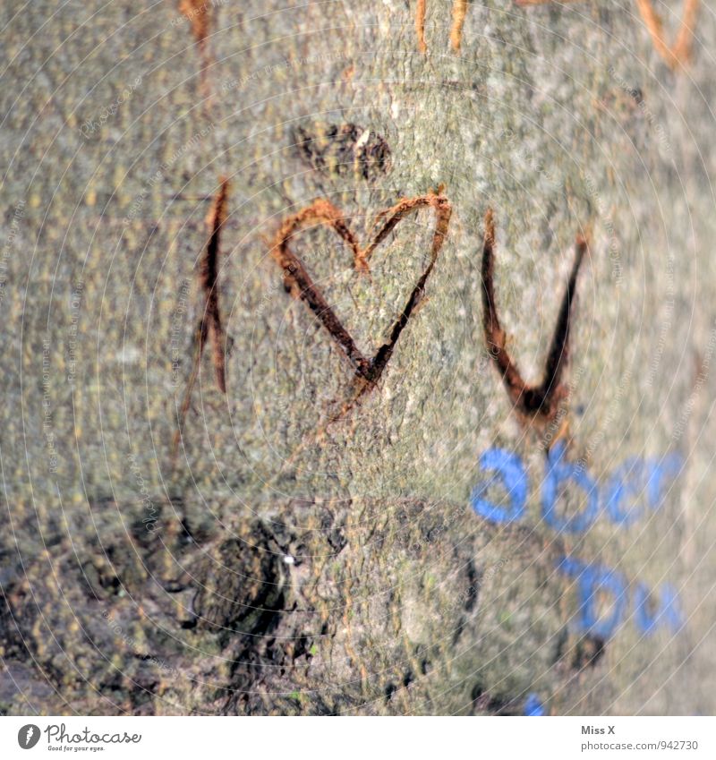I love U Tree Wood Sign Heart Love Infatuation Romance Furrow Tree trunk Display of affection Declaration of love Memory Tree bark Colour photo Exterior shot