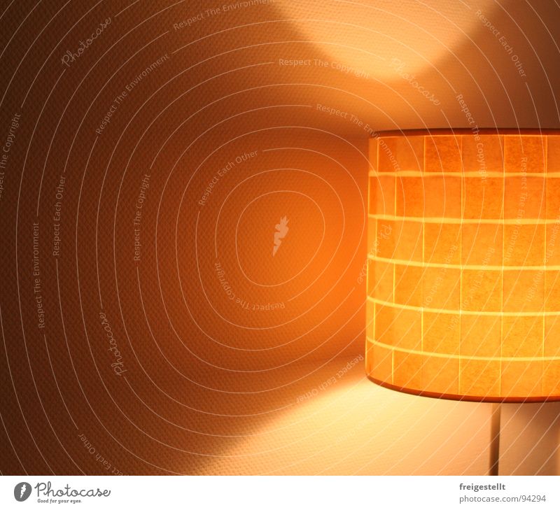 She's a dazzler. . . . Lamp Light Living room Beautiful Cozy Physics Standard lamp Ambient Harmonious Lampshade Cone of light Decoration Bright Warmth Orange
