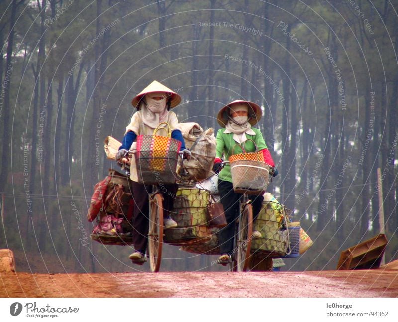 heavy transportation Asia Vietnam Woman Bicycle Driving Logistics Heavy Work and employment Forest Services 2 women Street