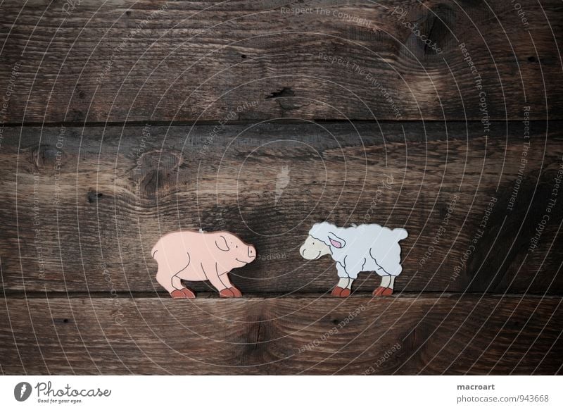 pig and sheep Swine Piglet Happy Symbols and metaphors Good luck charm Wood Background picture Animal Wood work Fat Lush Wooden board Sheep Wool Baaa Difference