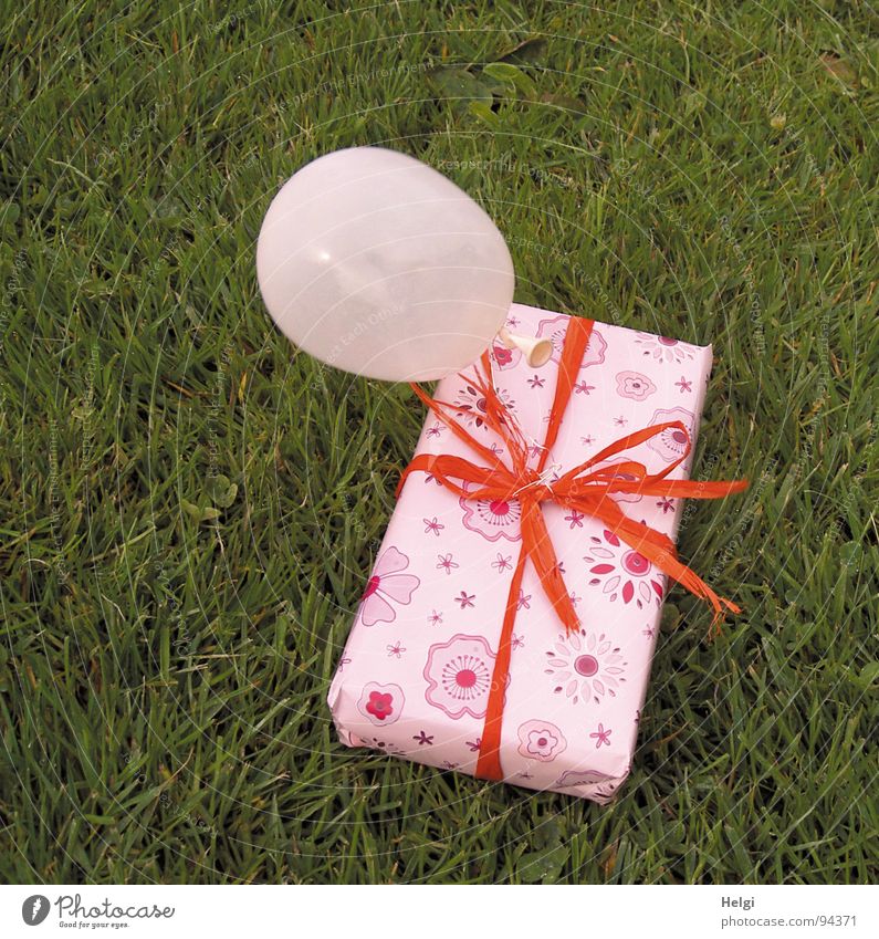 wrapped gift with balloon lying on a meadow Colour photo Exterior shot Deserted Design Joy Feasts & Celebrations Valentine's Day Mother's Day Birthday
