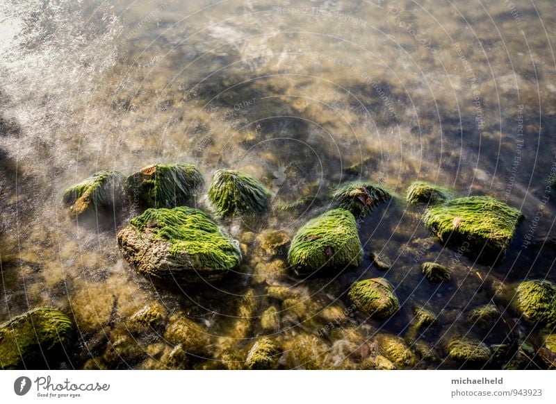 Stones in the lake Nature Water Waves Coast Lakeside Selenter Lake Schleswig-Holstein Breathe To enjoy Dream Fresh Emotions Moody Patient Calm Lovesickness