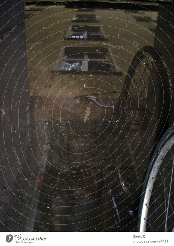 damp cellar Bicycle Wheel rim Puddle Reflection House (Residential Structure) Wall (building) Wet Damp Dark bicycle cellar Rain Deluge wet feet Perspective