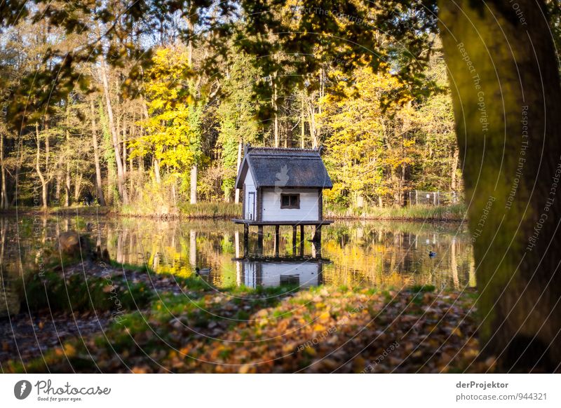 A beautiful house in the greenery also at second glance Environment Nature Landscape Plant Autumn Garden Park Meadow Forest Island Bog Marsh Pond Lake