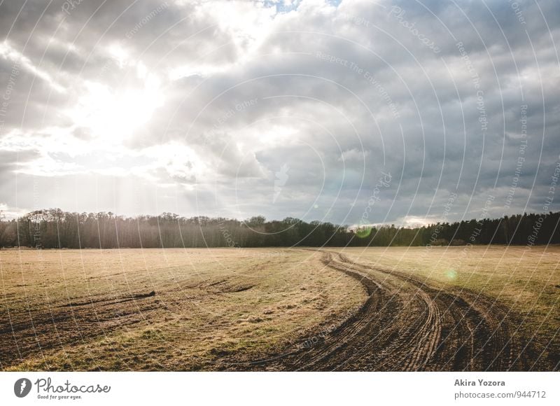 On the right track Nature Landscape Sky Clouds Sunlight Weather Tree Field Touch Illuminate Bright Natural Blue Brown Gray Green Black White Optimism Hope