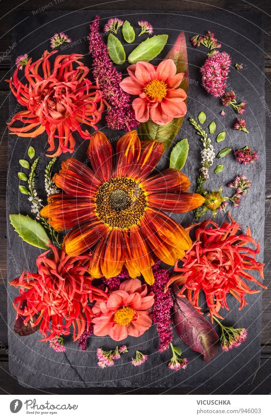 Autumn flower composition with sunflowers and dahlias. Style Design Life Leisure and hobbies Summer Garden Nature Plant Flower Leaf Blossom Bouquet Green Orange