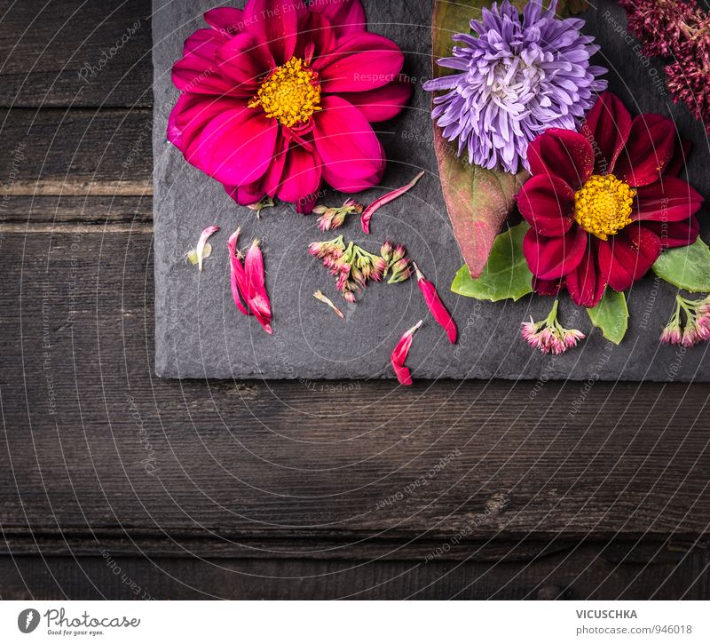 Autumn flowers on dark wooden table Design Leisure and hobbies Summer House (Residential Structure) Garden Nature Plant Flower Bouquet Stone Wood Brown Yellow