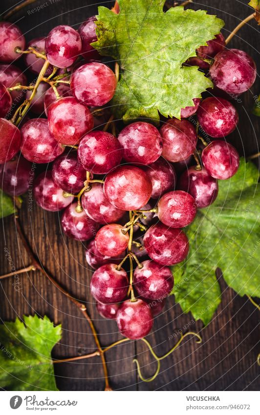 Large pink grapes with vines and leaves Food Fruit Nutrition Organic produce Diet Design Nature Garden Pink Bunch of grapes Vine Leaf Fresh Harvest Table Wood