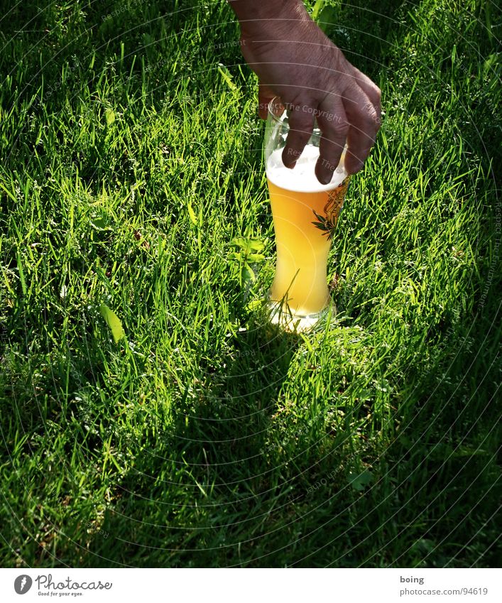 Angels drink yellow - Alois Hingerl plucks on the beer meadow Door handle Catch Grasp Meadow Evening sun Hand Lumberjack Beer Yeast Wheat Dreary Bright Foam