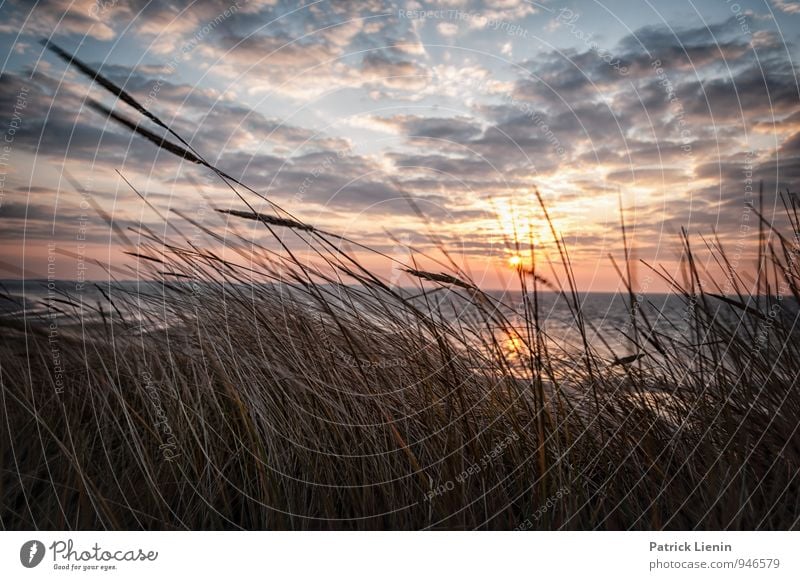 amrum Well-being Contentment Senses Relaxation Tourism Trip Far-off places Freedom Environment Nature Landscape Plant Sky Clouds Sun Sunrise Sunset Sunlight