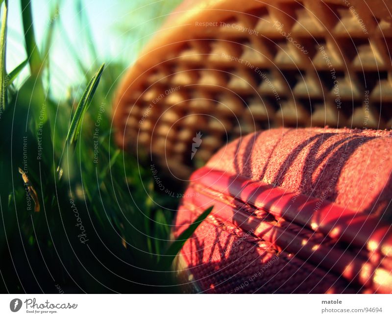 RED IN GREEN_03 Footwear Shoe sole Sneakers Silhouette Grass Green Meadow Park Red Summer Relaxation Break Goof off Doze Pastime Vacation & Travel