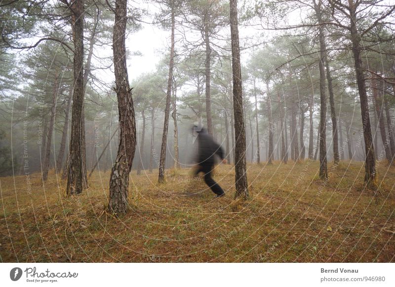 Just away! Man Adults Nature Landscape Autumn Bad weather Fog Tree Grass Forest Clothing Running Walking Brown Black Flee Hooded (clothing) Pine Unclear