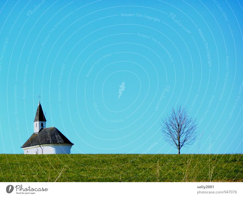 Direction sky Sky Cloudless sky Sunlight Tree Grass Meadow Church Chapel Simple Green Orderliness Loneliness Perspective Religion and faith Stagnating Winter