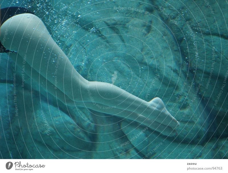 mermaid Dive Diver Woman Swimsuit Naked Aquatics Legs Feet Underwater photo Swimming & Bathing Barefoot