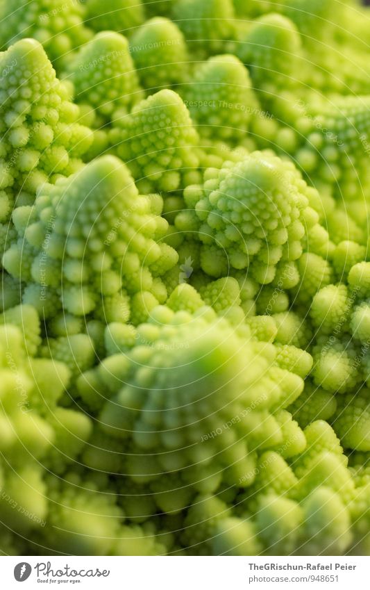vegetable landscape Food Vegetable Yellow Green Black Edible Romanesco Dreamland Pattern Perfect Noble Raw Mountain Colour photo Close-up