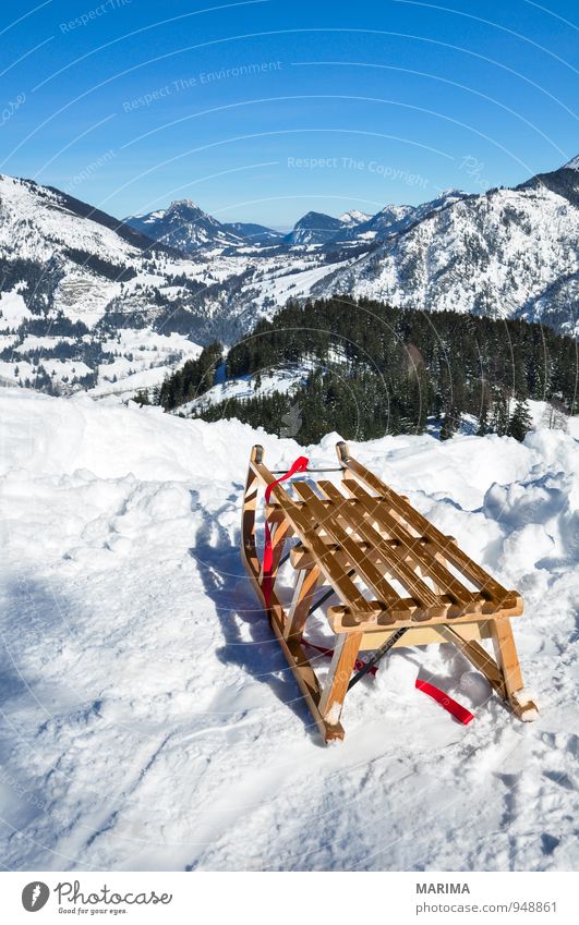 white winter land, wooden sledge Joy Relaxation Vacation & Travel Tourism Winter Mountain Environment Nature Landscape Weather Forest Rock Alps Wood Cold Blue