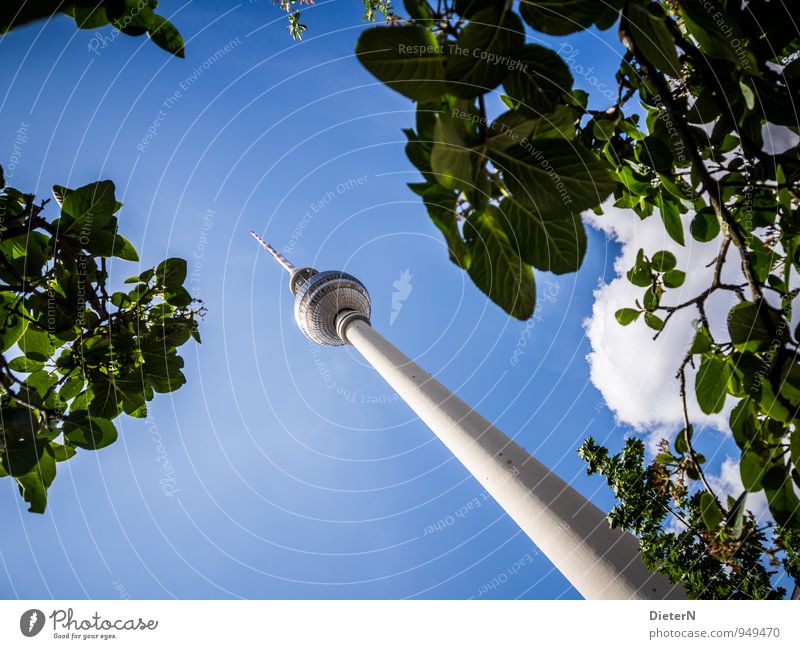 green Town Capital city Downtown Architecture Tourist Attraction Landmark Television tower Blue Green White Berlin Tree Leaf canopy Clouds Sky Colour photo