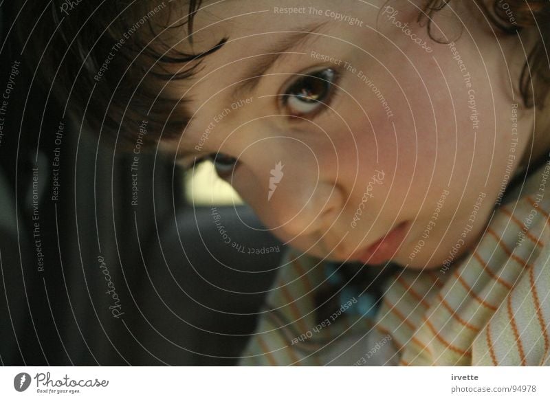 Car shelter Portrait photograph Child Fear Toddler Beautiful Actor eyes Small little nose warning my little princess cheeks snub-nosed attention concentration