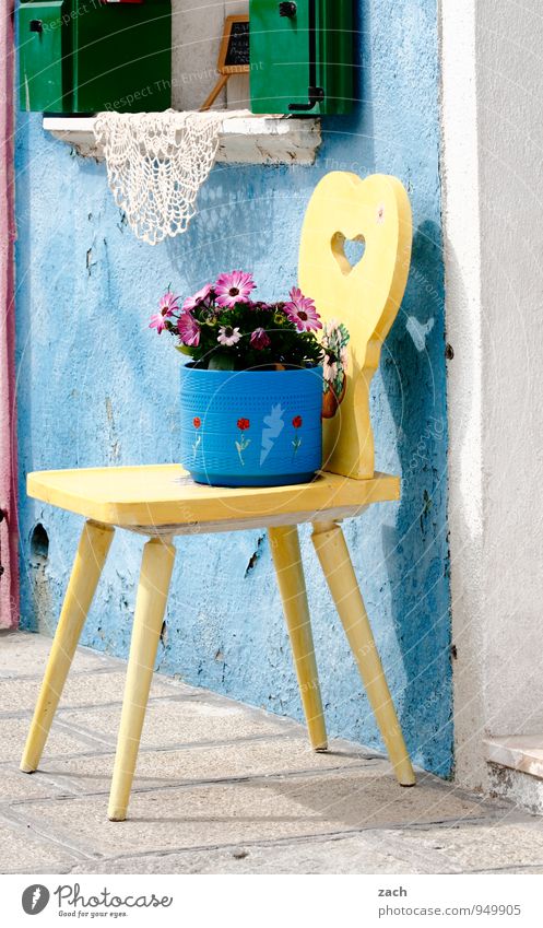 Burano Tourism Living or residing Flat (apartment) House (Residential Structure) Chair Plant Flower Blossom Pot plant Venice Italy Village Fishing village